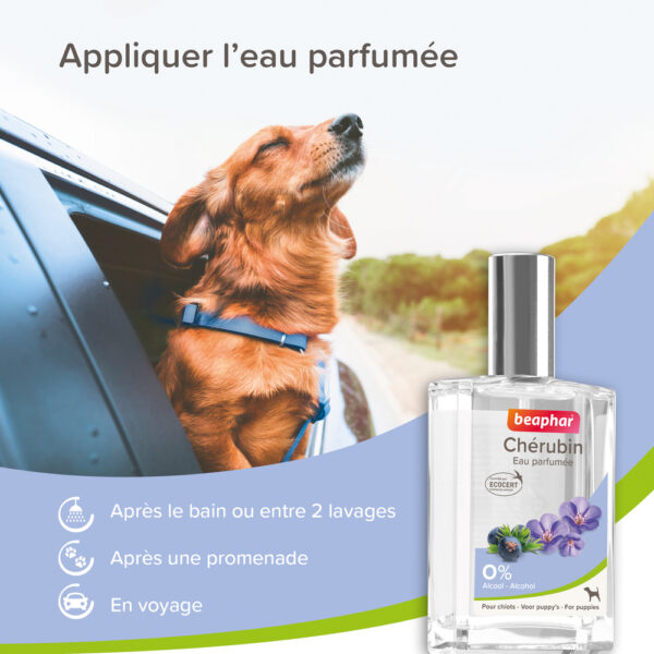 Eau Parfumée Chérubin pour Chiot – Image 3
