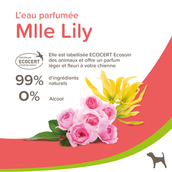Eau Parfumée Mlle Lily pour Chien - Femelle – Image 2