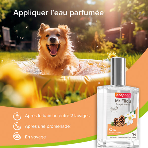 Eau Parfumée Mr. Filou pour Chien - Mâle 50 ml – Image 3