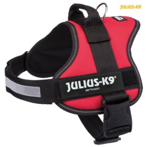 Harnais Power Julius-K9 M 58-76cm/40mm Rouge - Julius
