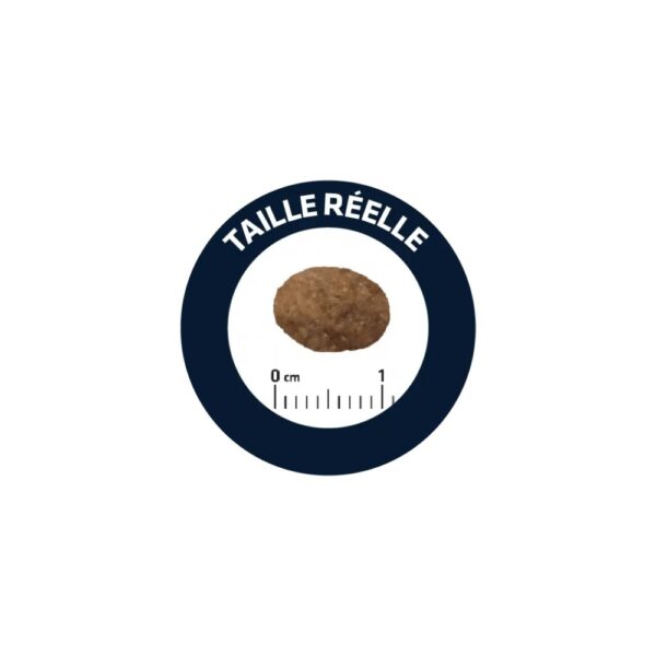 CROQUETTES CHAT ADULT SENSITIVE SAUMON RIZ - ADVANCE 3KG – Image 2