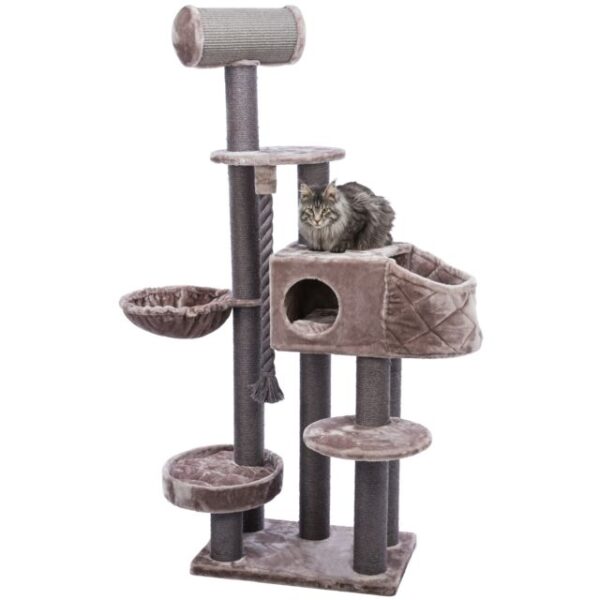Arbre à chat XXL Andres