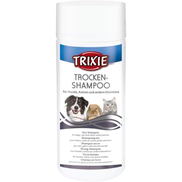 Shampoing sec 100gr