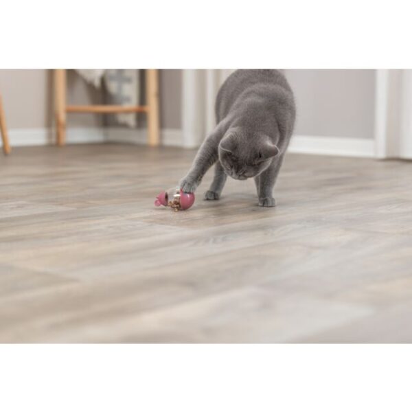 Snack souris en présentoir – Image 3