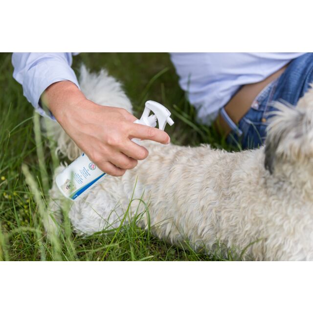 Spray anti-puces et tiques – Image 2