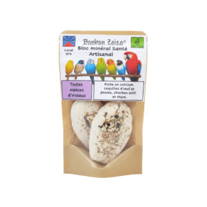 BLOC MINERAL PLATRE X2 62G