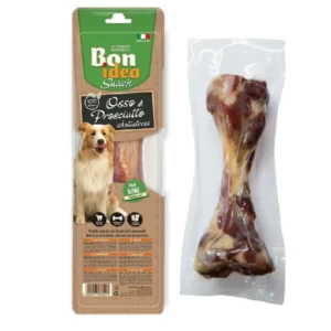 OS PERONE FIBULA S X3