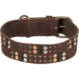 COLLIER CUIR RIVET 47-54 L BRUN