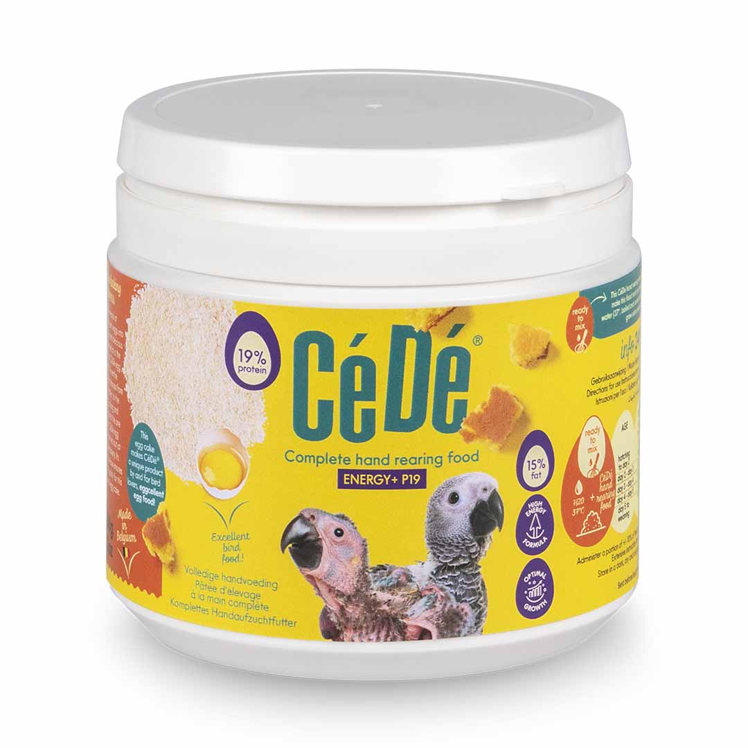 PATEE CEDE MAIN ENERGY+ 200G