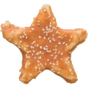 DENTA FUN POULET STAR 30G