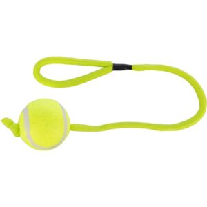 BALLE TENNIS CORDE D6