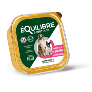 Terrine pour chien adulte saumon et épinards 300g