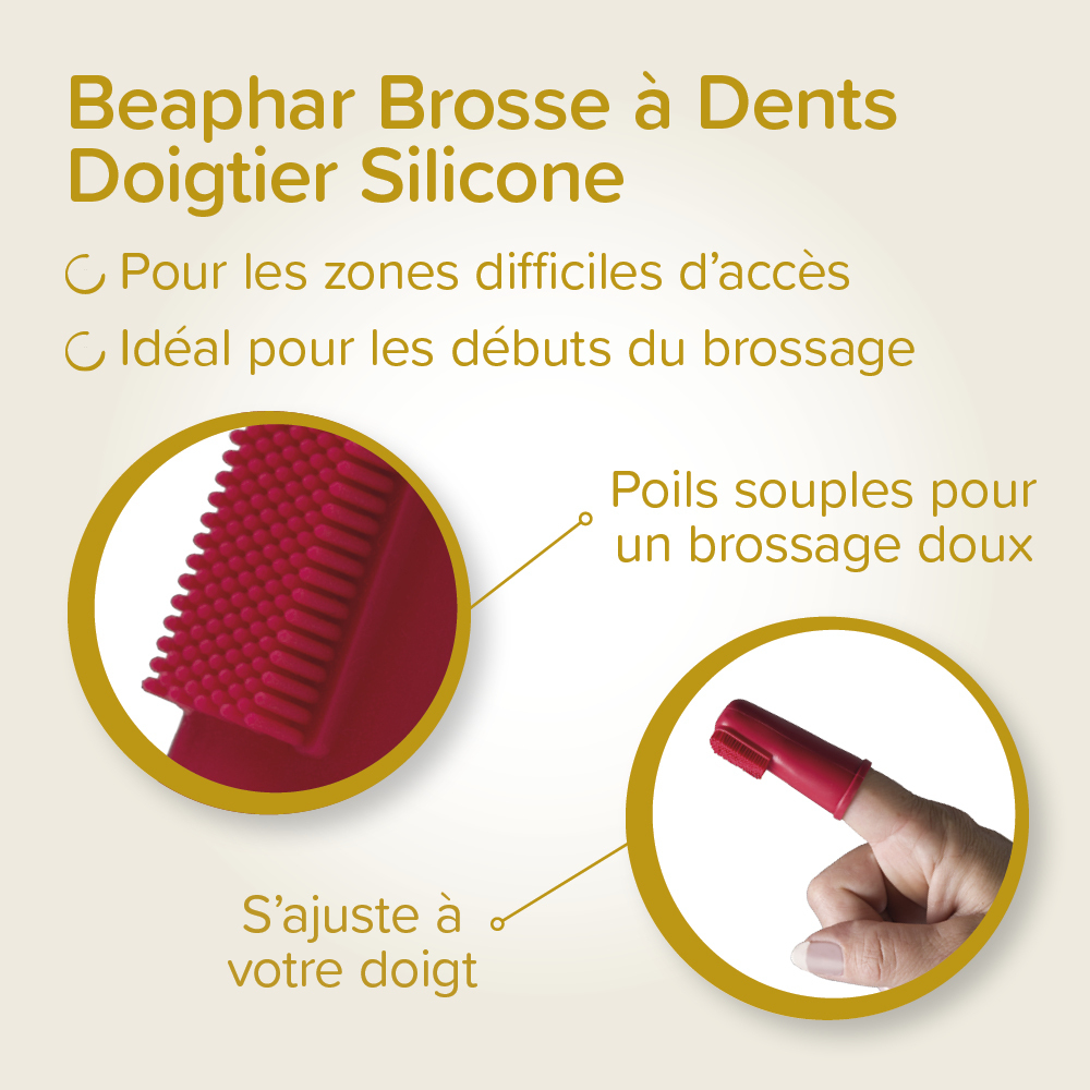 Kit dentaire Chiot : dentifrice + 2 brosses à dents – Image 4