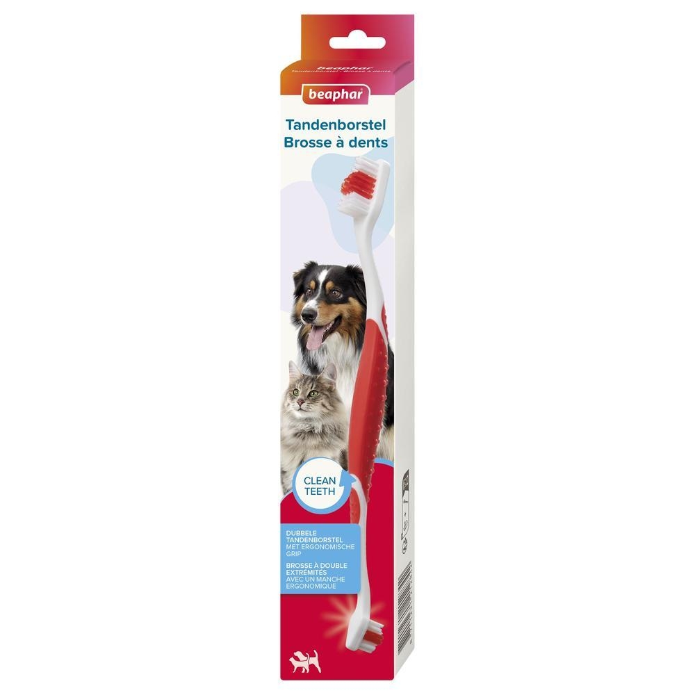 Brosse à dents buccafresh