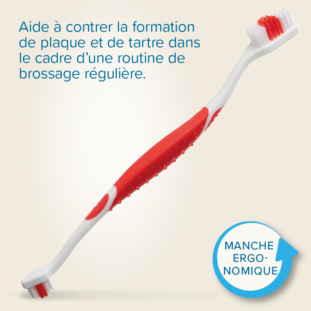 Brosse à dents buccafresh – Image 3