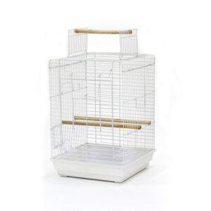 CAGE OISEAU