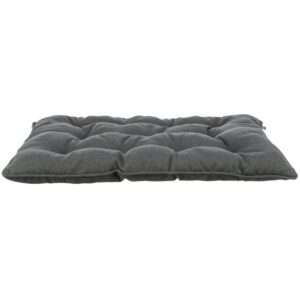 COUSSIN CALIENTE 115*72