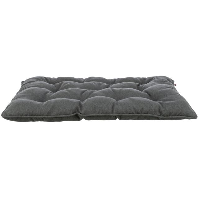 COUSSIN CALIENTE 115*72