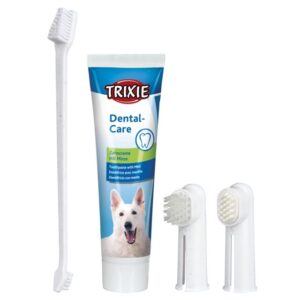 SET HYGIENE DENTAIRE CHIEN