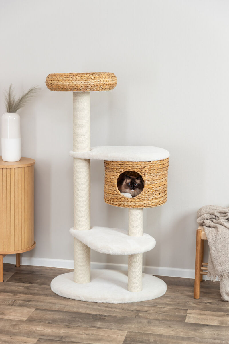 ARBRE CHAT ALBEA 143CM CREME