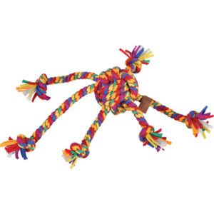 RAINBOW PIEUVRE 38CM
