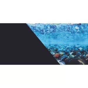 BUBI NATURE THON/CREVETTE 85G