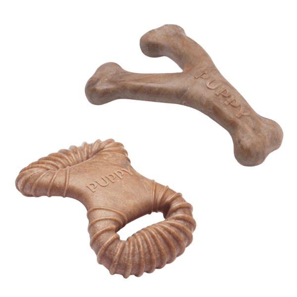 PACK PUPPY DENTAL WISH BACON