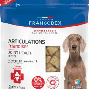 FRIANDISE ARTICULATION CHIEN 75G
