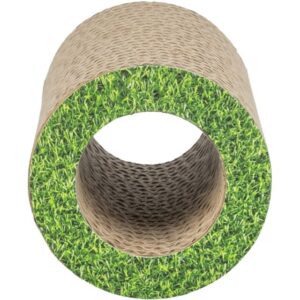 TUNNEL CARTON D10