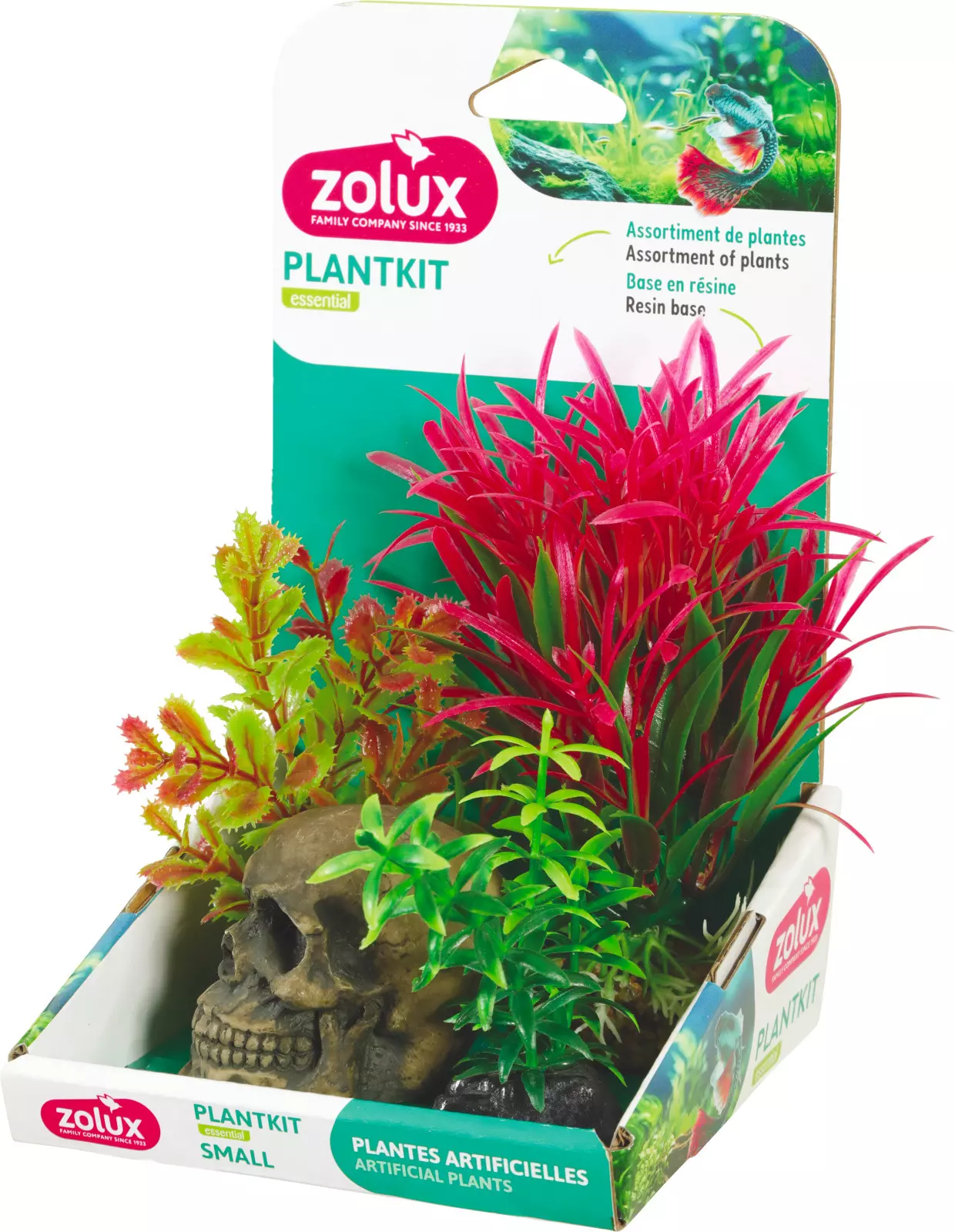 PLANTKIT TETE DE MORT S