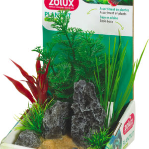 PLANTKIT ROCHER S